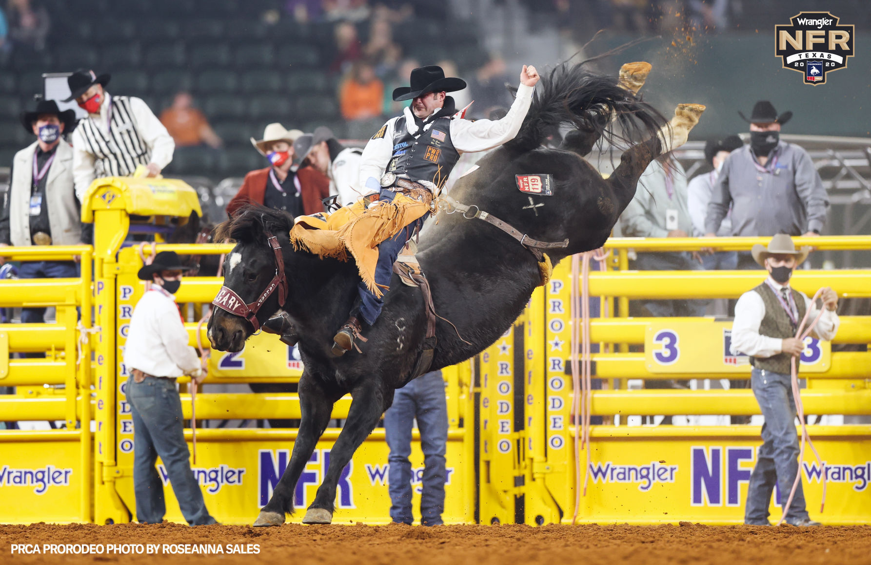 Kaycee Feild